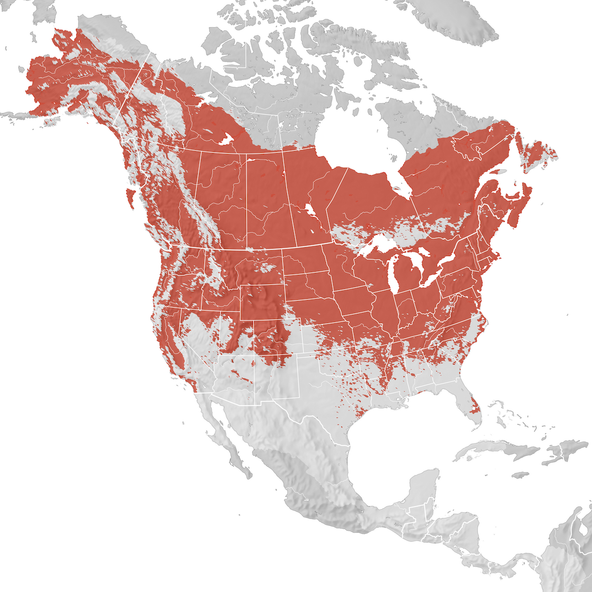 Tree Swallow Range Map Breeding Ebird Status And Trends