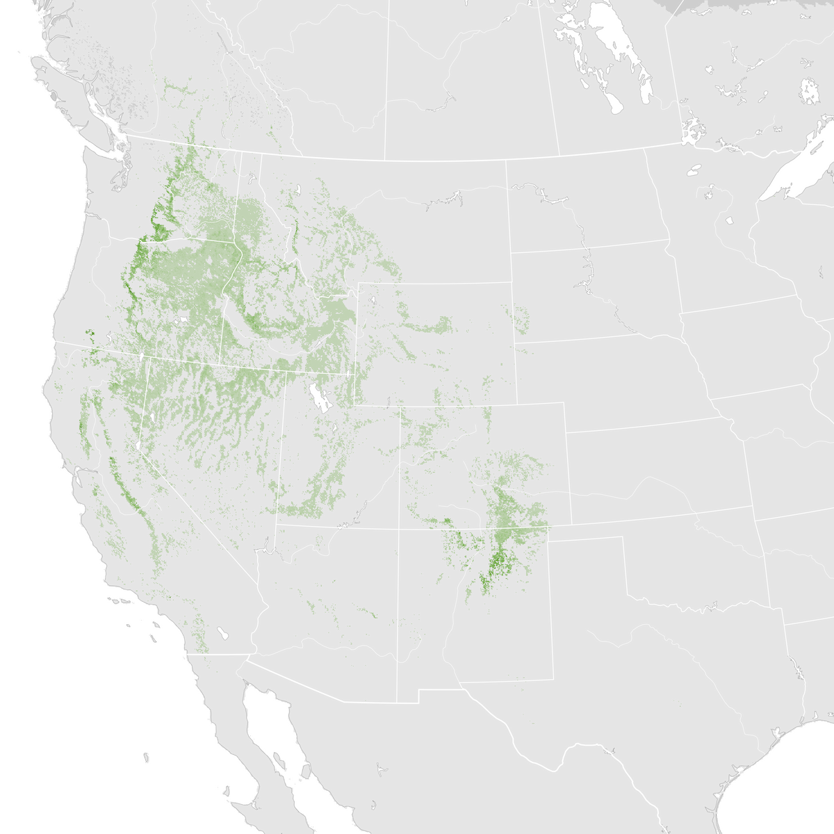 Lewis's Woodpecker - Abundance map: Pre-breeding migration - eBird