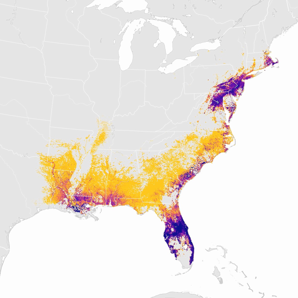 Fish Crow - Abundance animation - eBird Status and Trends