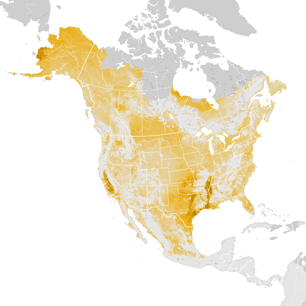 Savannah Sparrow Abundance Map Pre Breeding Migration Ebird Status And Trends