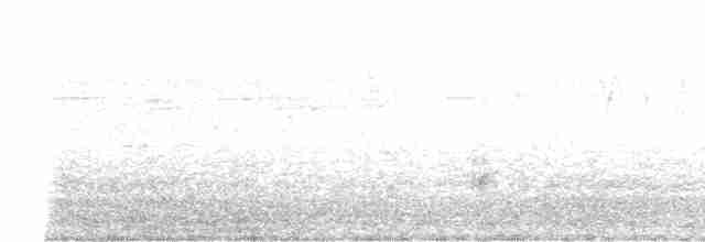 Australian Reed Warbler - ML381878291