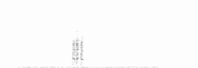 Spotless Crake - ML381879621