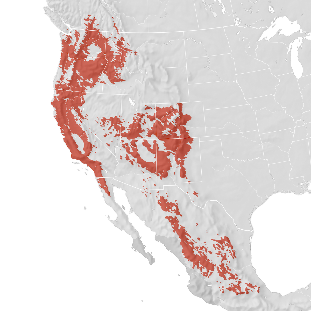 Western Bluebird - Range map: Breeding - eBird Status and Trends