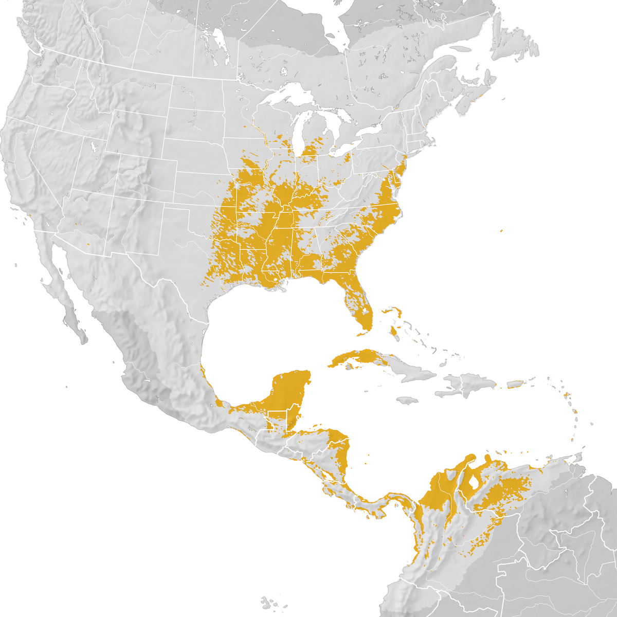 Prothonotary Warbler - Range map: Post-breeding migration - eBird ...