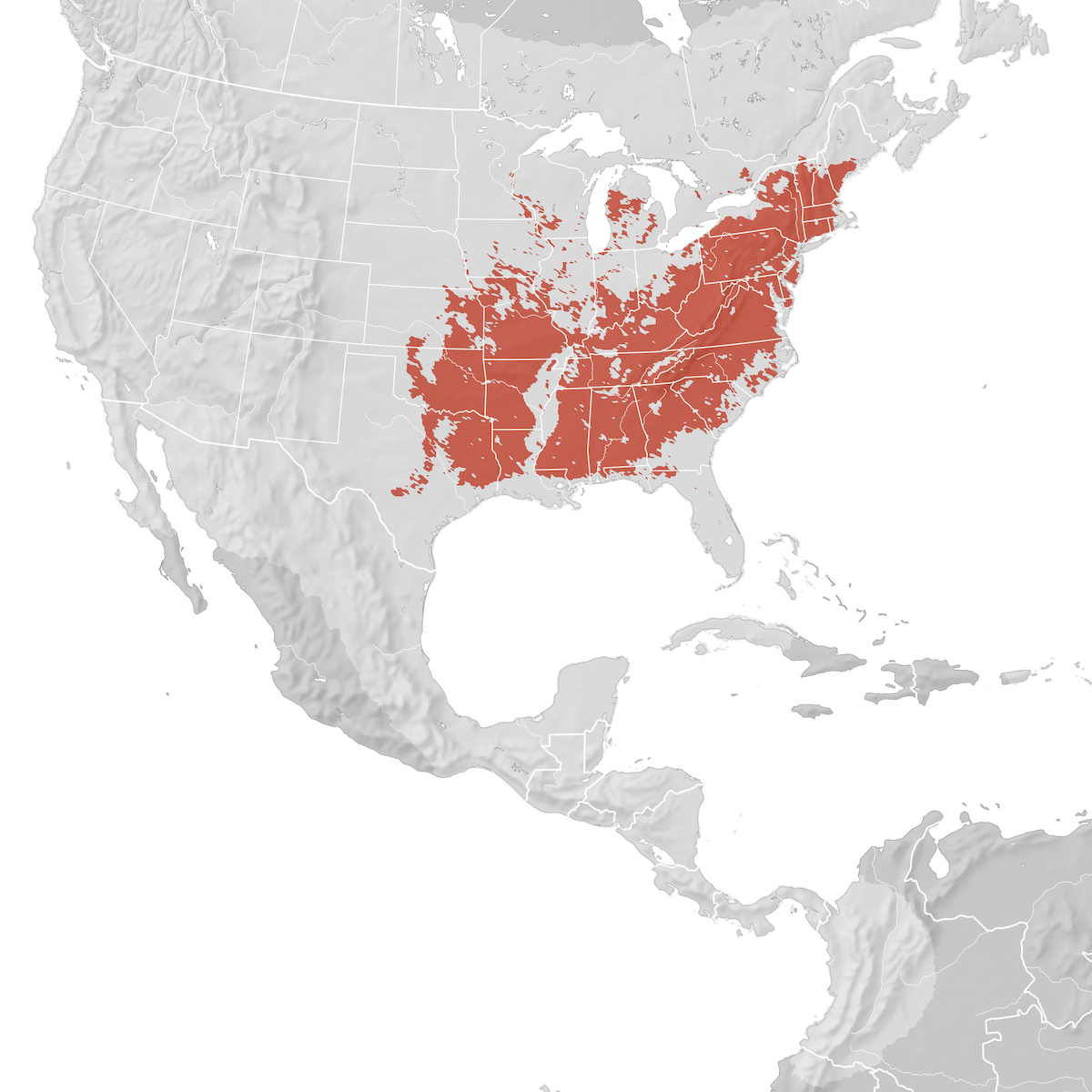 Louisiana Waterthrush Range map Breeding eBird Status and Trends