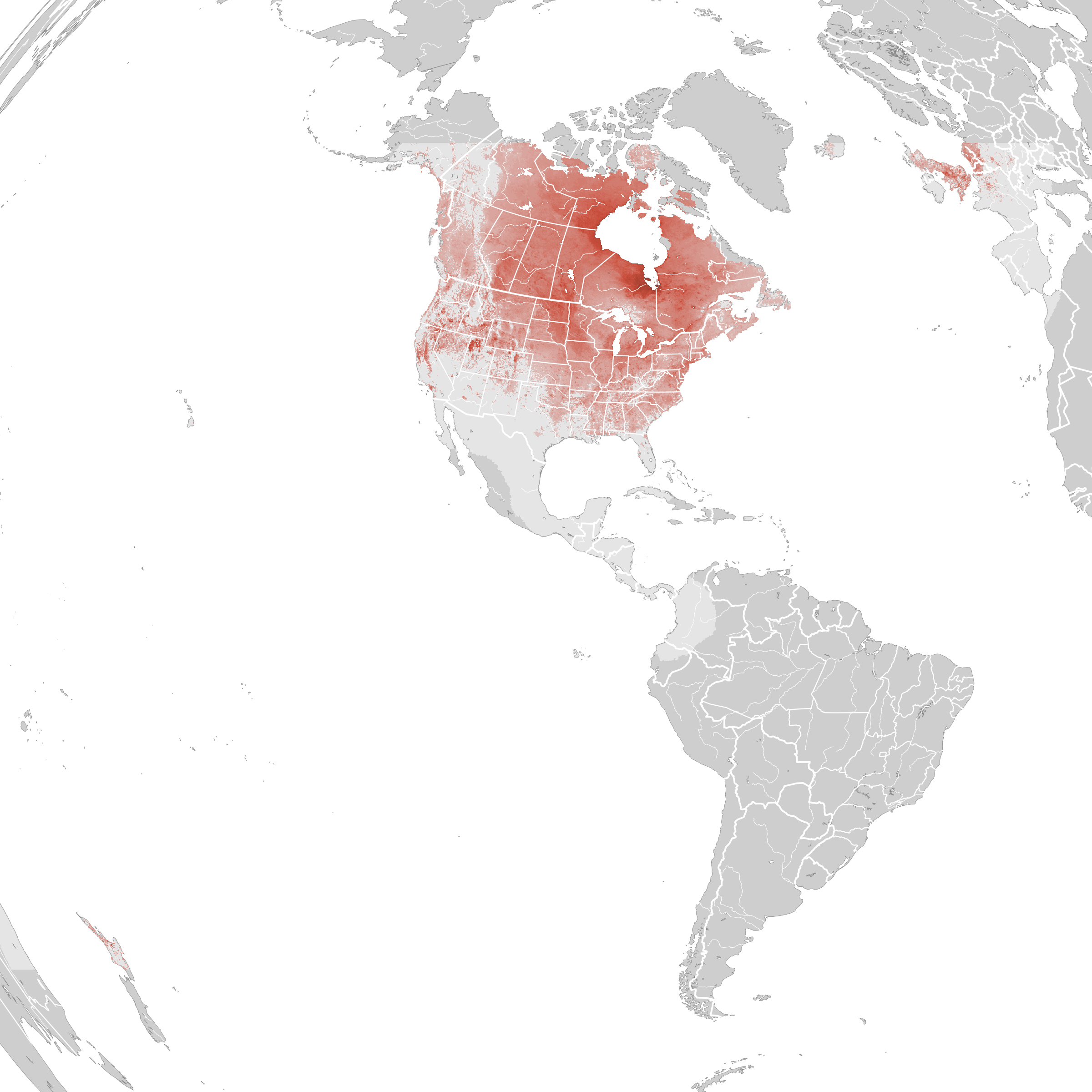 Canada Goose Flyway Map Canada Goose - Abundance Map: Breeding - Ebird Status And Trends