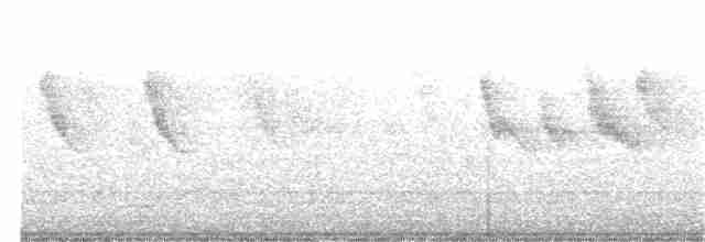 Swinhoe's White-eye - ML381885561