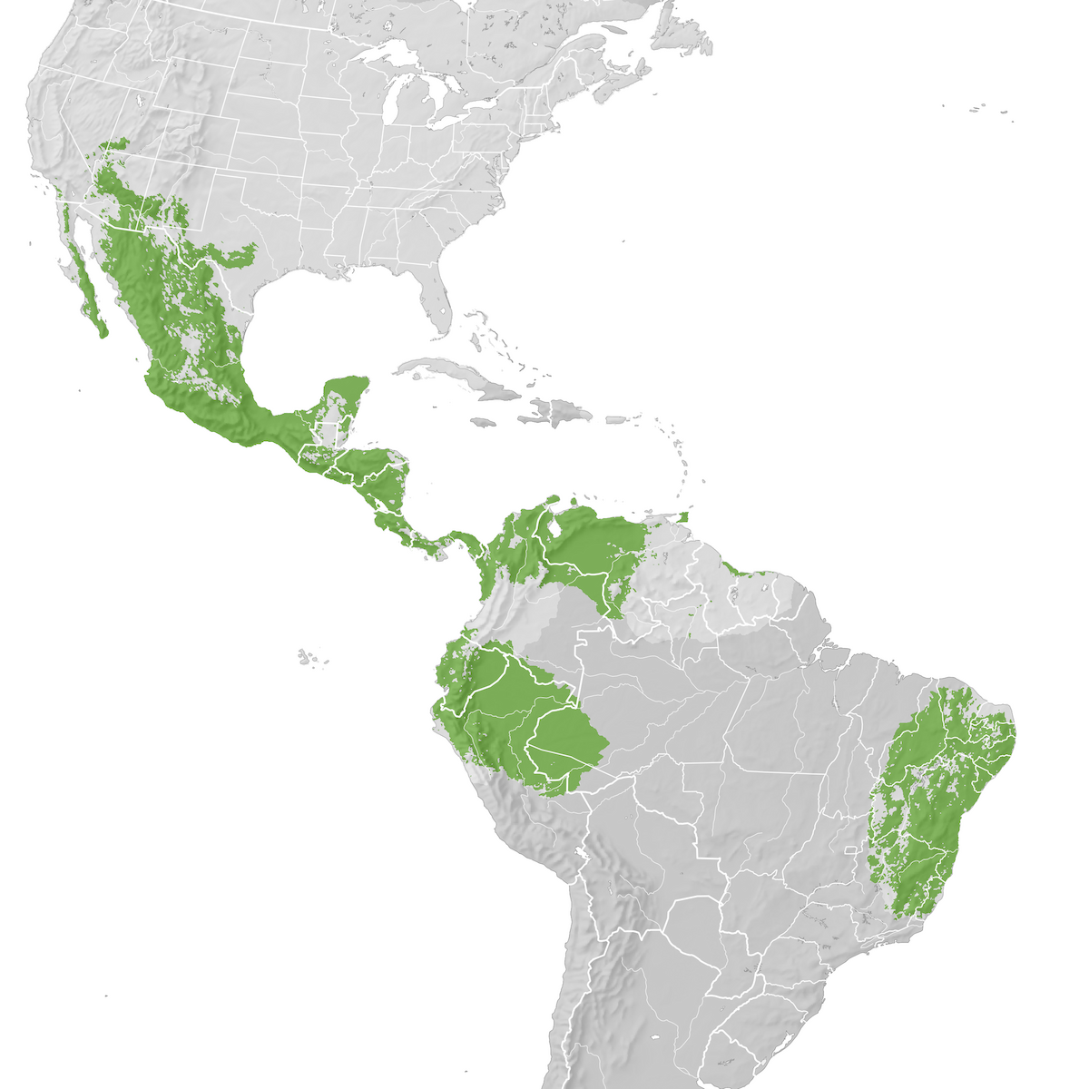 Hawk Range map Prebreeding migration eBird Status and