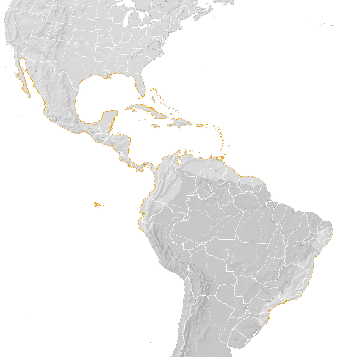 Magnificent Frigatebird - Range map: Pre-breeding migration - eBird ...