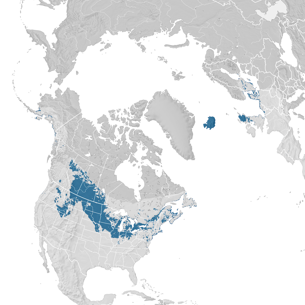 Snow Bunting Range Map Non Breeding Ebird Status And Trends