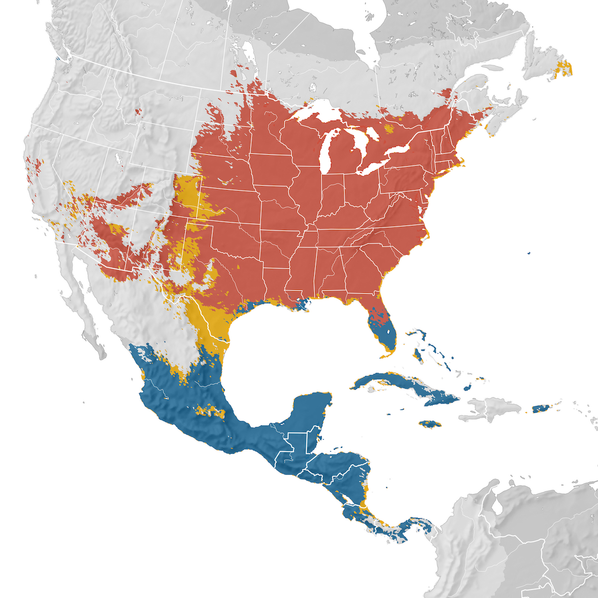 Indigo Bunting Range map eBird Status and Trends
