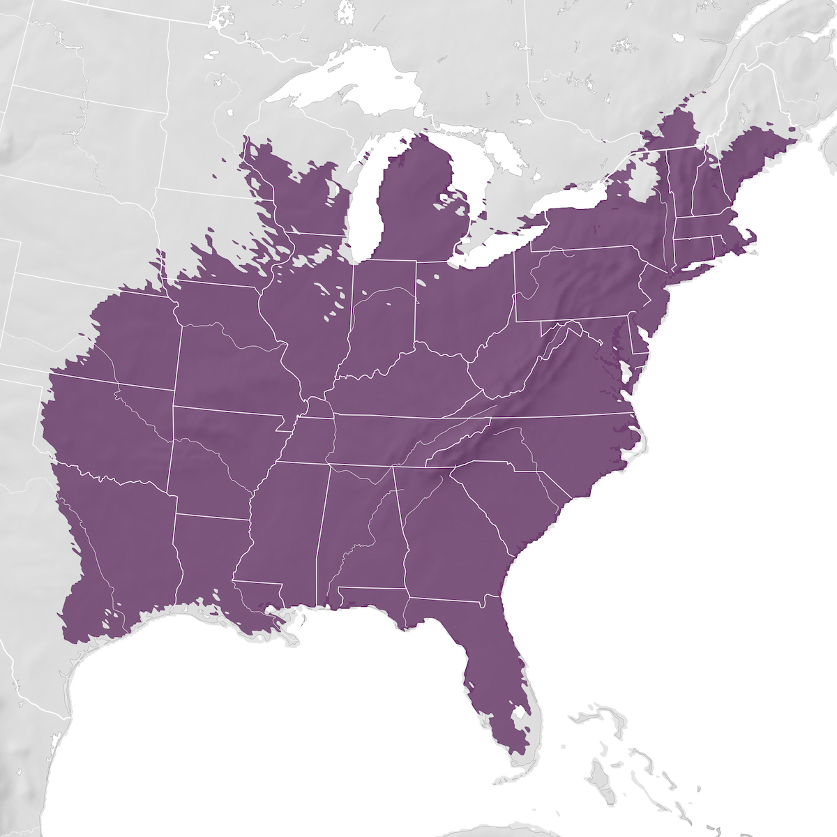 Tufted Titmouse Range Map Ebird Status And Trends 9369