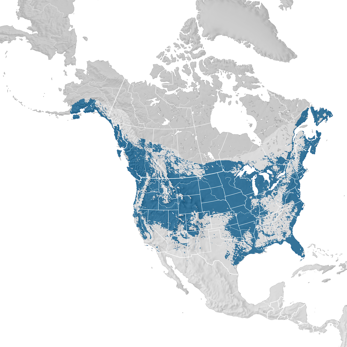 Bald Eagle Range map Nonbreeding eBird Status and Trends