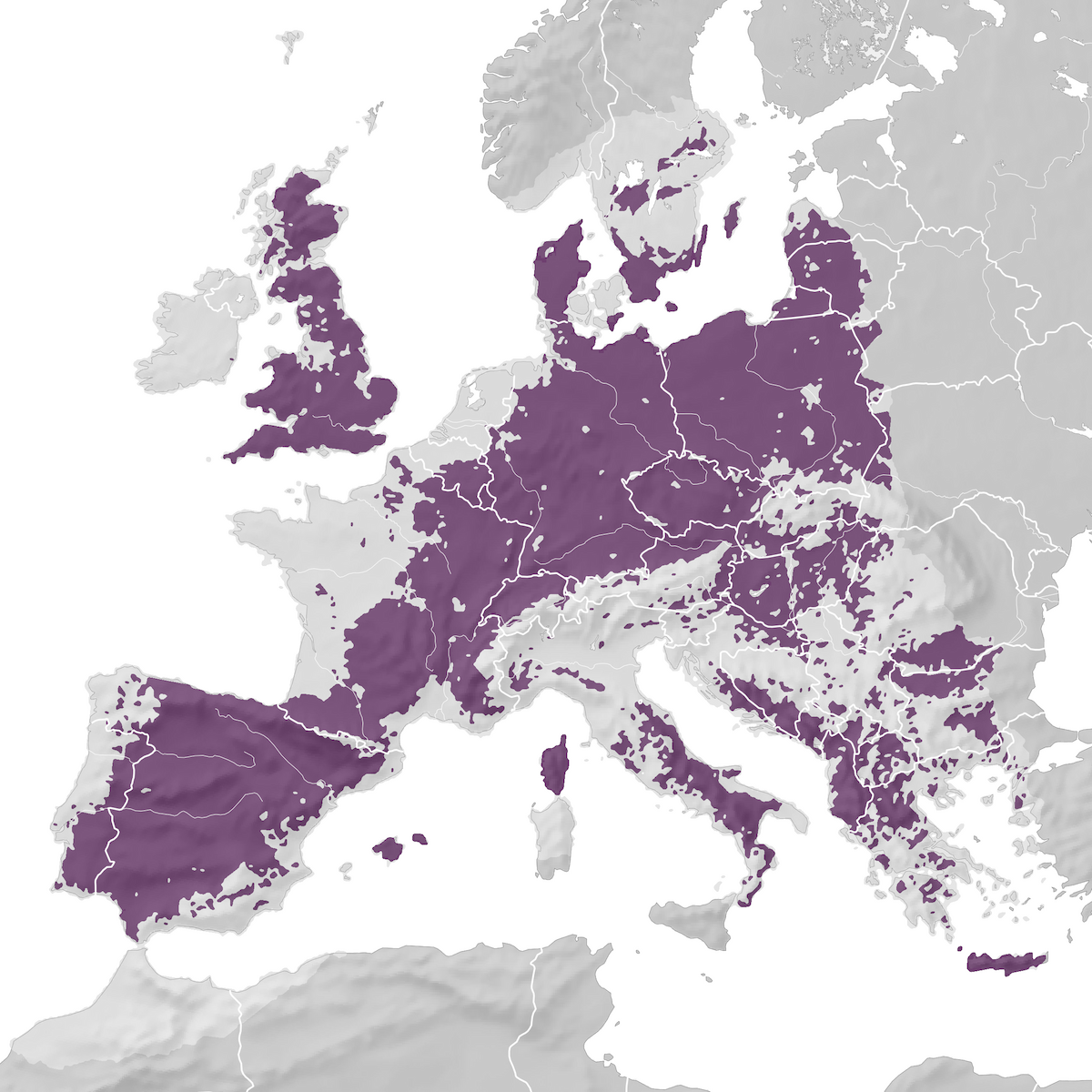 Red Kite - Range map - eBird Status and Trends