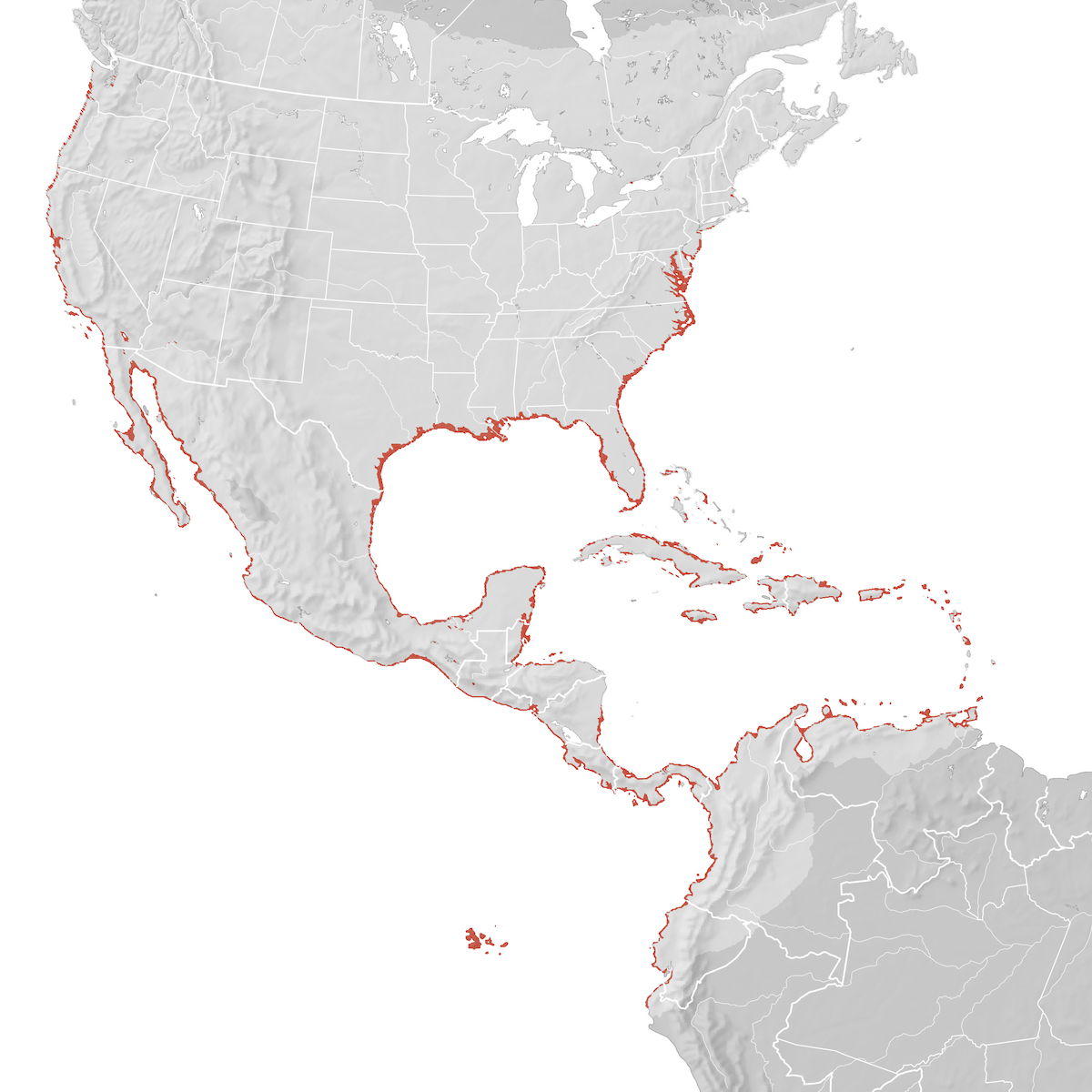 Brown Pelican - Range map: Breeding - eBird Status and Trends