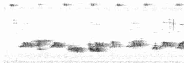 Синехвостая щурка - ML381933521