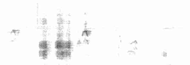 Clamorous Reed Warbler - ML381965011