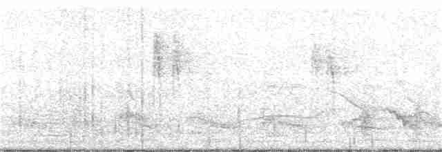 נחליאלי לבן (ממושקף) - ML38200941