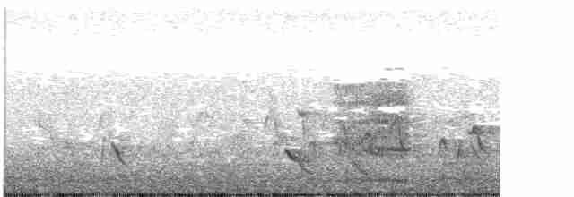 kakadu hnědohlavý - ML382095521