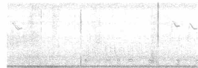 Берингийская жёлтая трясогузка - ML382121131
