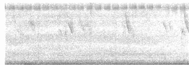 Берингийская жёлтая трясогузка - ML382121541