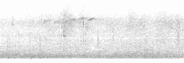 Brushland Tinamou - ML382125251