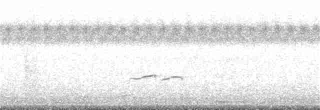 Gray-tailed Tattler - ML382204511