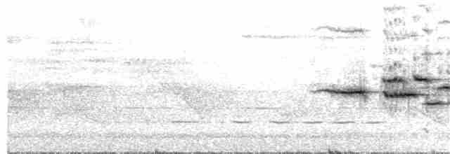 Белохвостая индига - ML38235081