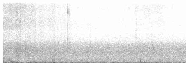 Lyre-tailed Nightjar - ML382354911