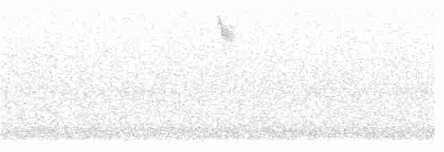 Field Sparrow - ML382392651