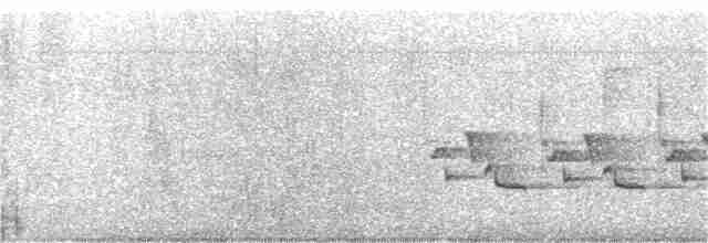 Каролинский крапивник - ML382393571