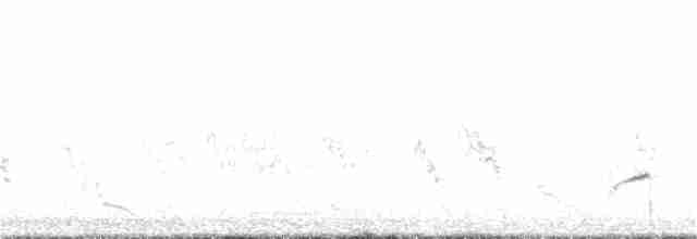 Long-tailed Meadowlark - ML382443221