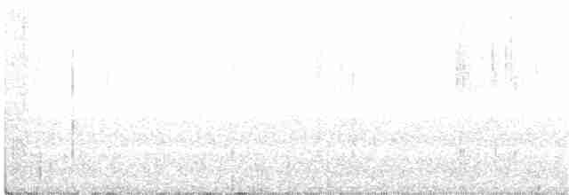 Сичик-горобець болівійський - ML382451931