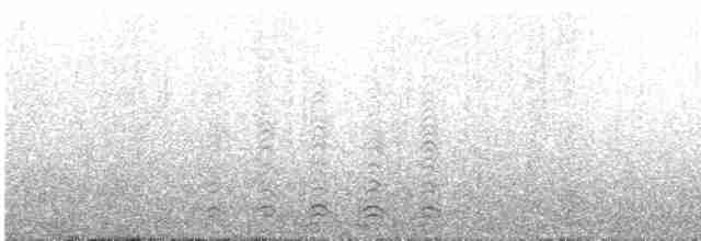 husice patagonská - ML382471161