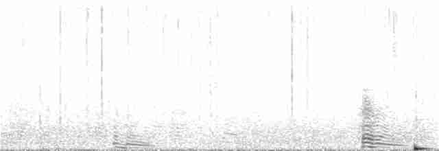 Magellanic Penguin - ML382474701