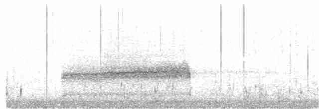potápka černokrká - ML382619151