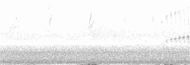 Eye-ringed Thistletail - ML382640811