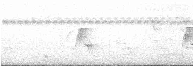 Common Tailorbird - ML382665111