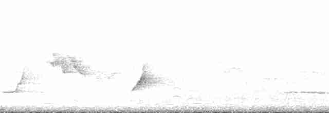 White-breasted Whistler - ML382823661