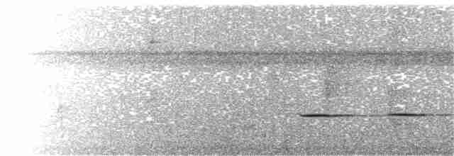 Striped Cuckoo - ML382824171