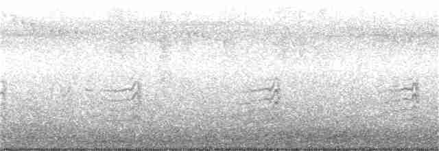 Râle à poitrine grise - ML382826711