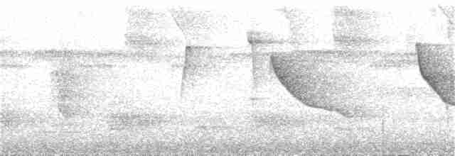 Fulvous Shrike-Tanager - ML382893731