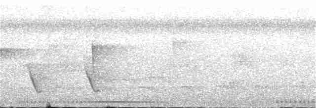 holub šedočelý - ML382938201