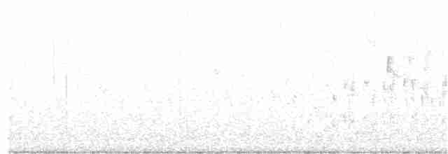 Болотный крапивник [группа palustris] - ML383045981