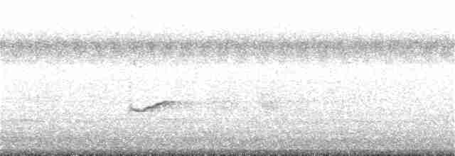 Gray-tailed Tattler - ML383046051