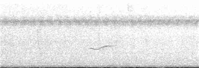 Gray-tailed Tattler - ML383046811