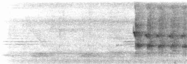 Ошейниковый зимородок - ML383052321
