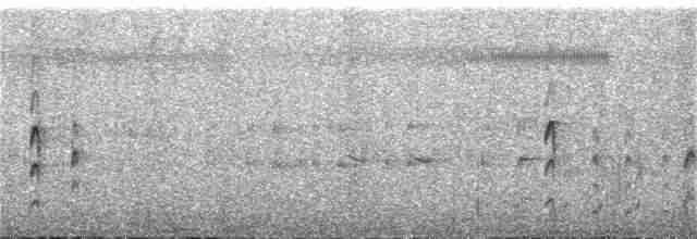 Оринокская иглохвостка - ML383089281