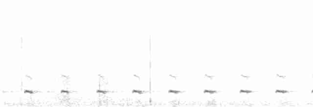 Chevêchette australe - ML383241091