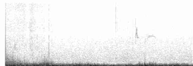 Kaya Çıtkuşu - ML383249281